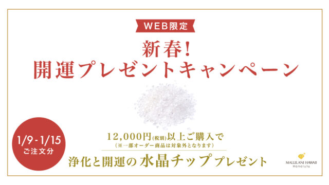【1/9-15 限定】浄化と開運の水晶チップ。プレゼント！新春！2023開運プレゼントキャンペーン ハワイ発パワーストーンジュエリーブランド マルラニハワイでスタートのメイン画像