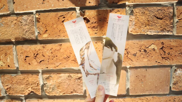 2023年 恋の行方！アトアで占う『恋みくじ』始めます～生きものにちなんだアドバイスでみんなの恋を応援～のメイン画像