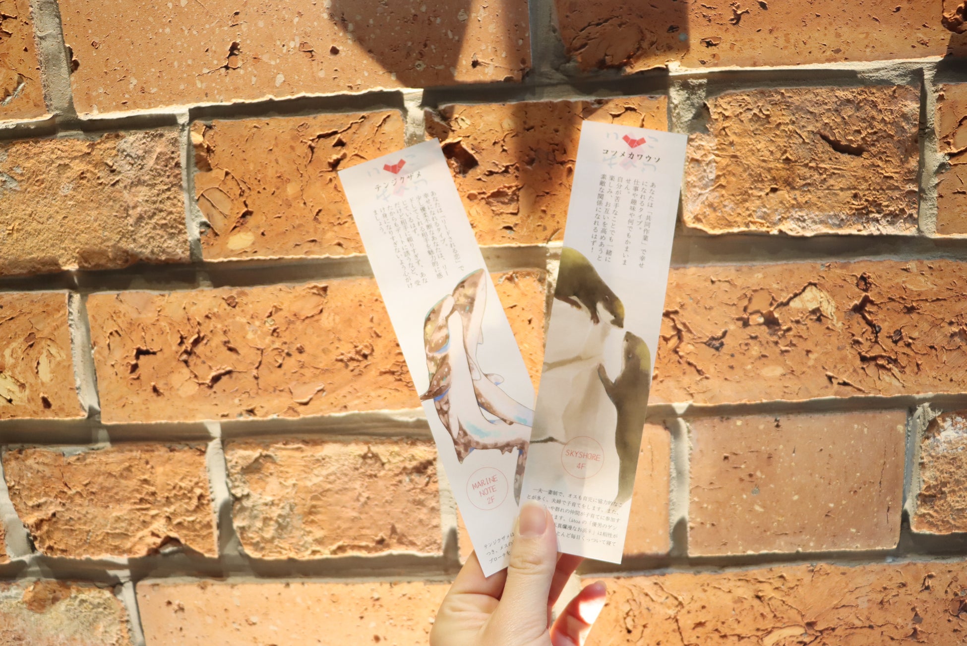 2023年 恋の行方！アトアで占う『恋みくじ』始めます～生きものにちなんだアドバイスでみんなの恋を応援～のサブ画像1_恋みくじ