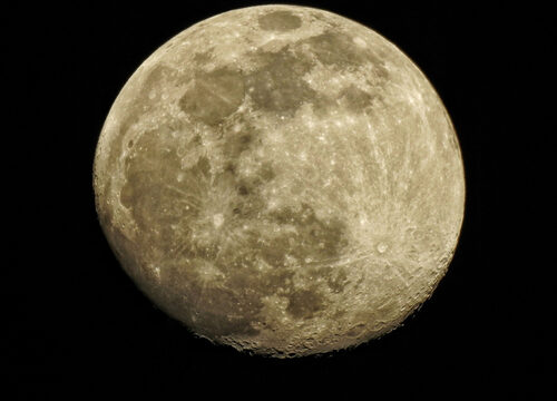 獅子座の満月&スノームーン&マイクロムーンで願いを叶えるLINE占い！不思議なほど当たる完全無料の恋愛占いと評判の占いメディアmicaneがリリース！のメイン画像