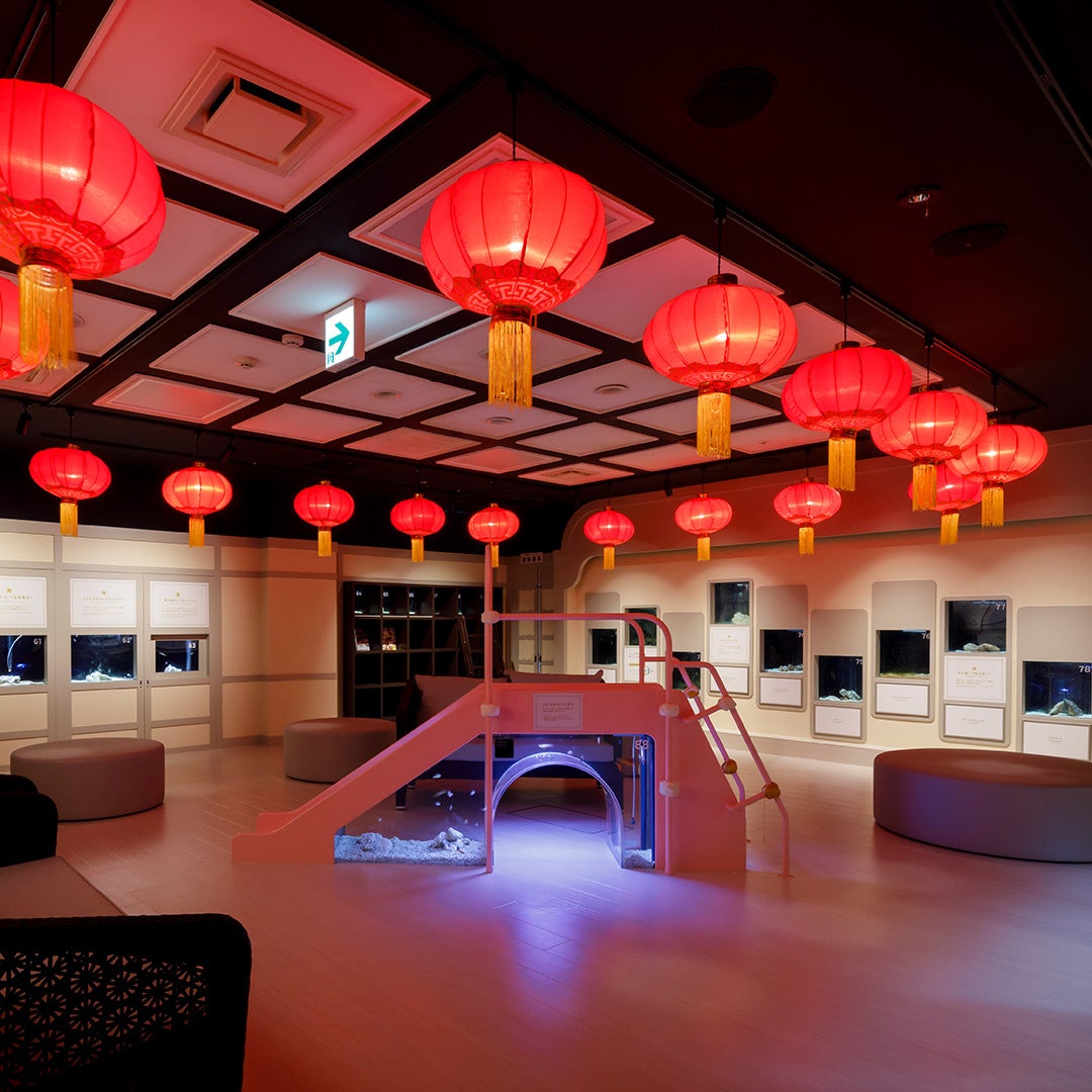 29周年のかえるのピクルスとフォーチュンアクアリウムが初コラボ!フォーチュンアクアリウム×かえるのピクルス『雨でも楽しい水族館』開催のサブ画像3